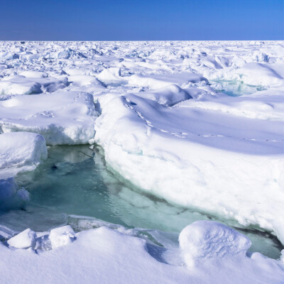 En route vers l'Arctique | Les Chouettes Conférences | Ep.7 cover