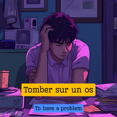Tomber sur un os cover