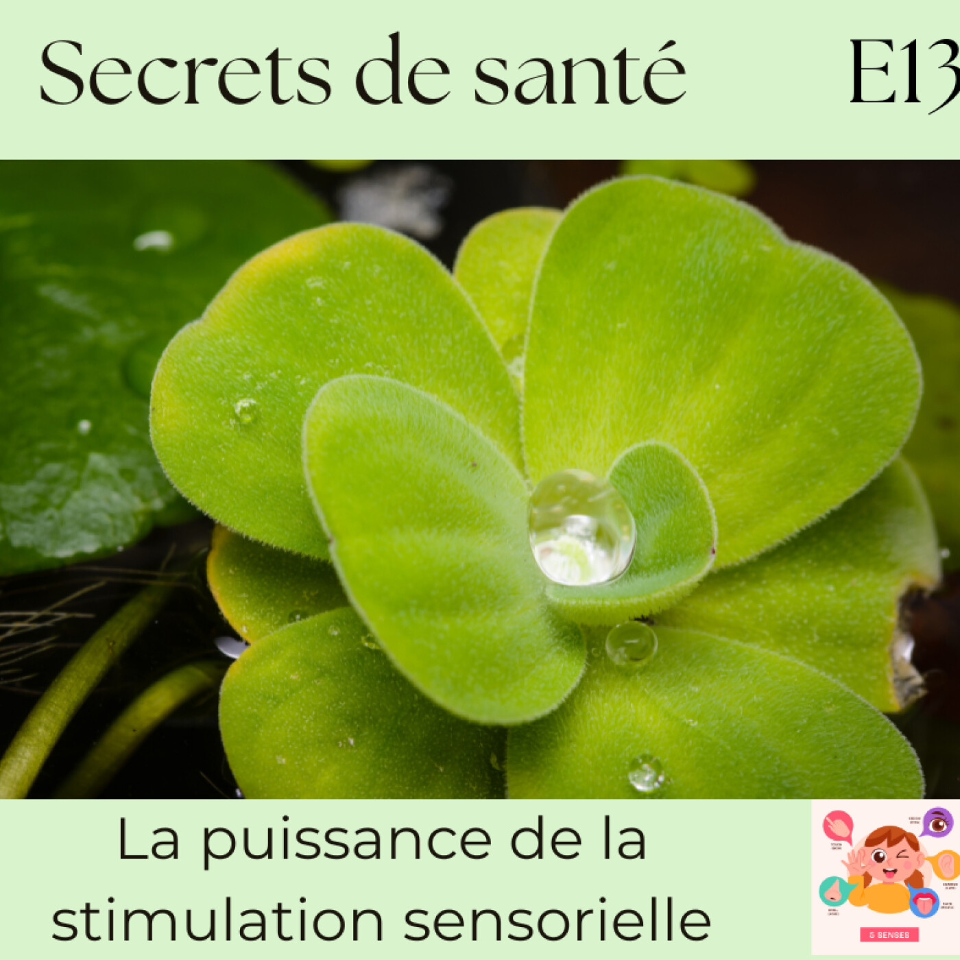 La stimulation sensorielle : revenir au corps, apaiser le mental, retrouver le flow - S7E13 La stimulation sensorielle : revenir au corps, apaiser le mental, retrouver le flow - S7E13