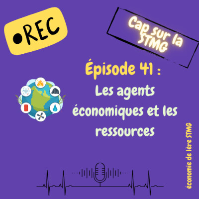 Podcast n°41 : les agents économiques et les ressources cover