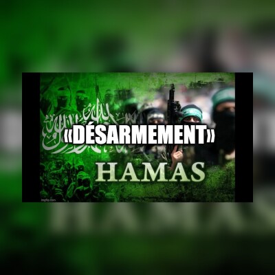 LE DÉSARMEMENT cover