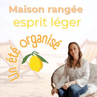Impliquer son/sa partenaire : conseils pour partager l’organisation familiale - Justine Gall cover