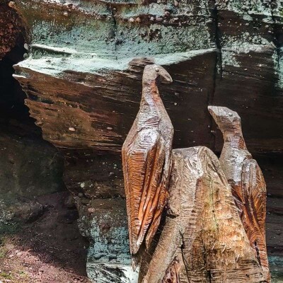 Alsace : découvrez le Sentier des Merveilles pour les vacances de Noël ! cover