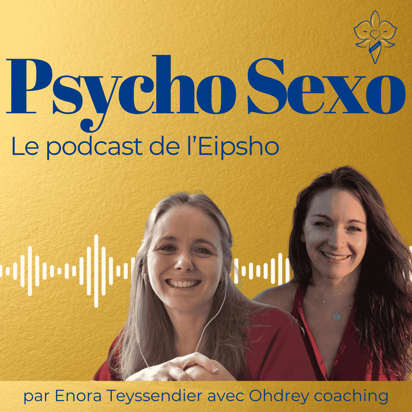 Psycho Sexo - clefs et outils pour accompagner la sexualité et lever les tabous