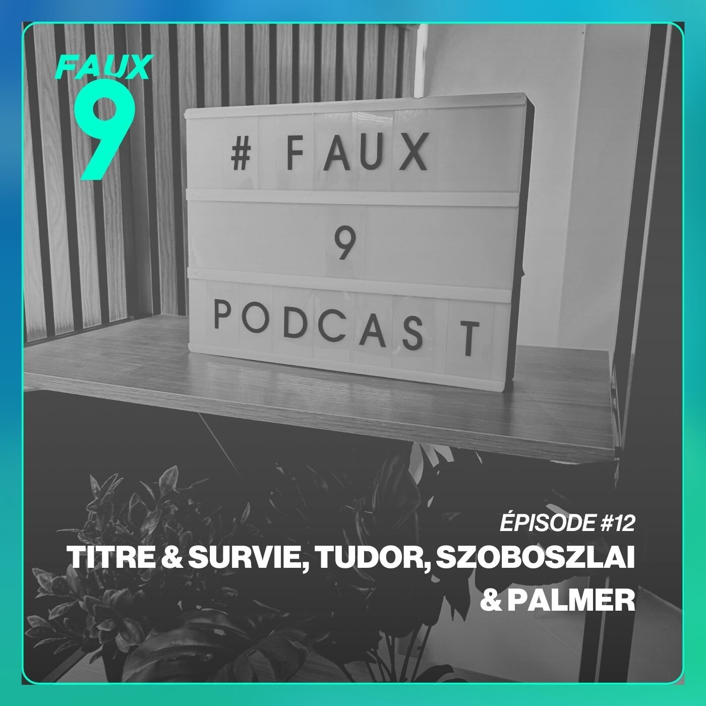 S02E12 Titre & Survie, Tudor, Palmer & Szoboszlai episode artwork