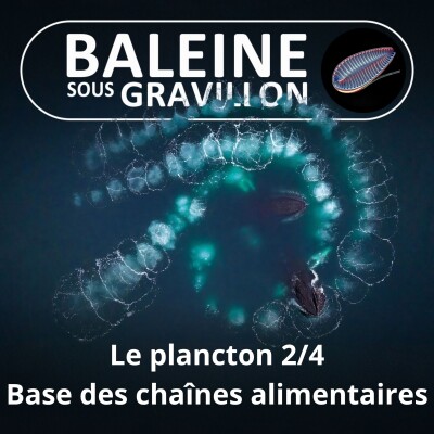 S02E04 Le Plancton, "petit peuple de l'eau" 2/4 : À l'origine de la Vie... et des chaînes alimentaires cover