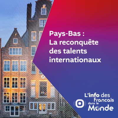 Pays-Bas : La reconquête des talents internationaux cover