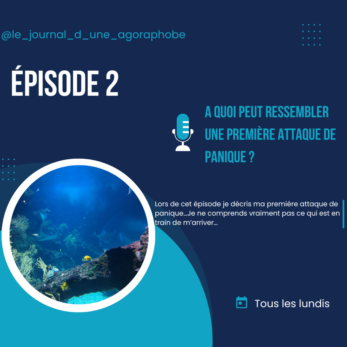 Le journal d’une agoraphobe