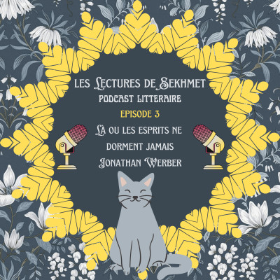 N°3 Là où les esprits ne dorment jamais Jonathan Werber cover