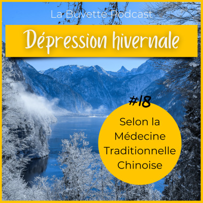 #18 Comment bien vivre l'hiver ? cover