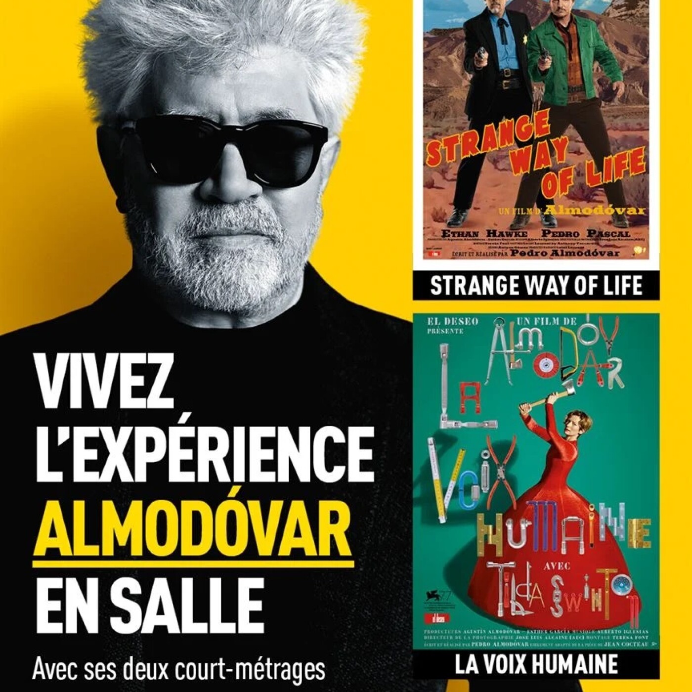 L'expérience Almodovar