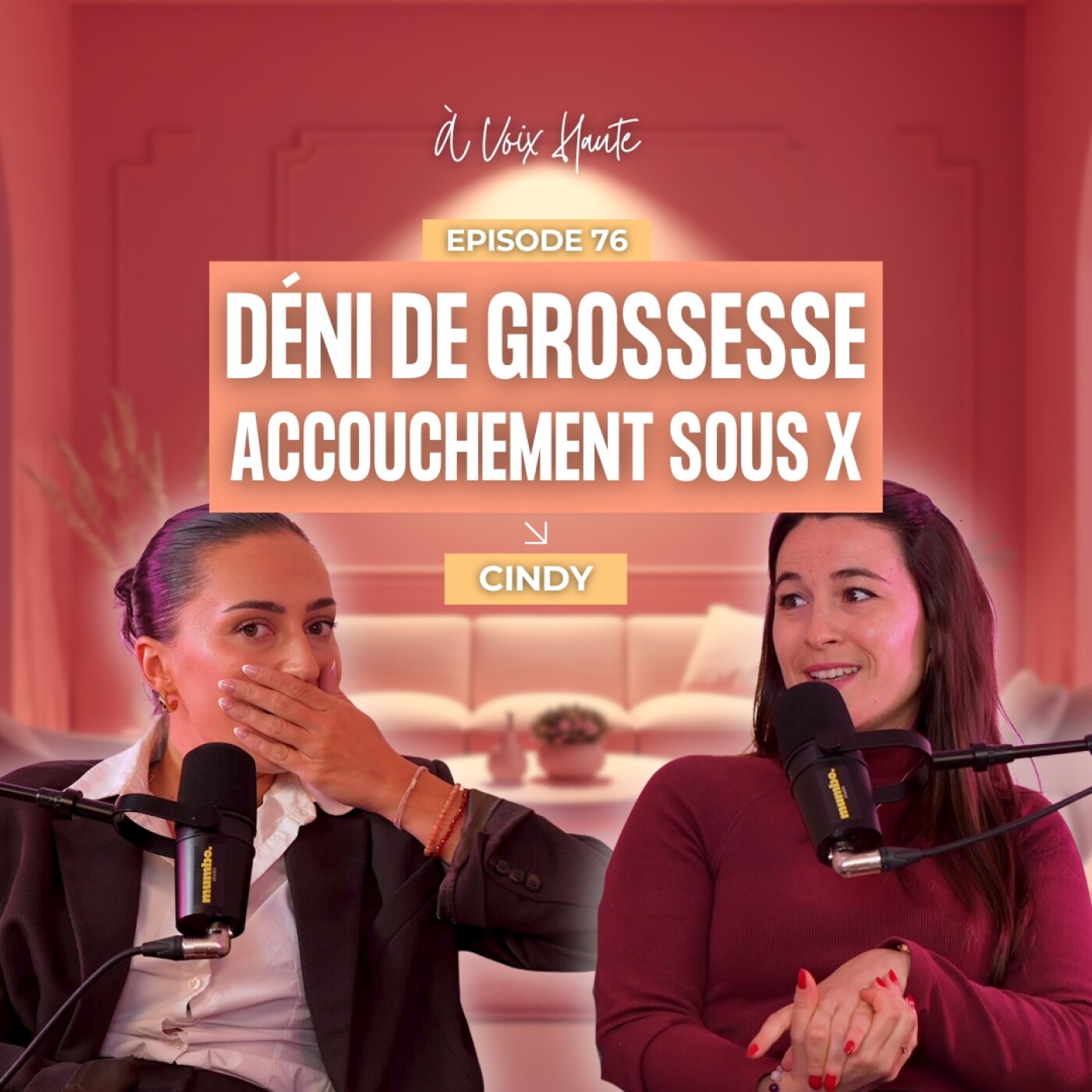 #76 Déni de grossesse : Cindy apprend qu’elle est enceinte de 8 mois