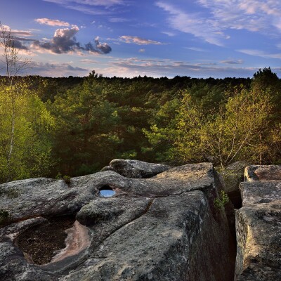 Un parcours inoubliable dans la forêt de Fontainebleau cover