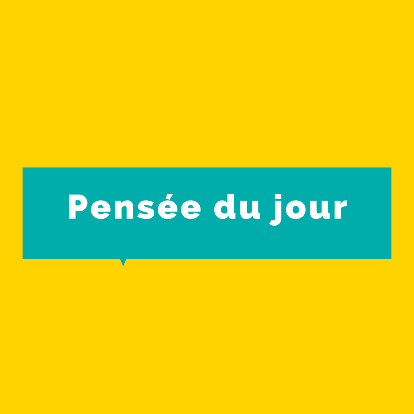 Nouvel Œil