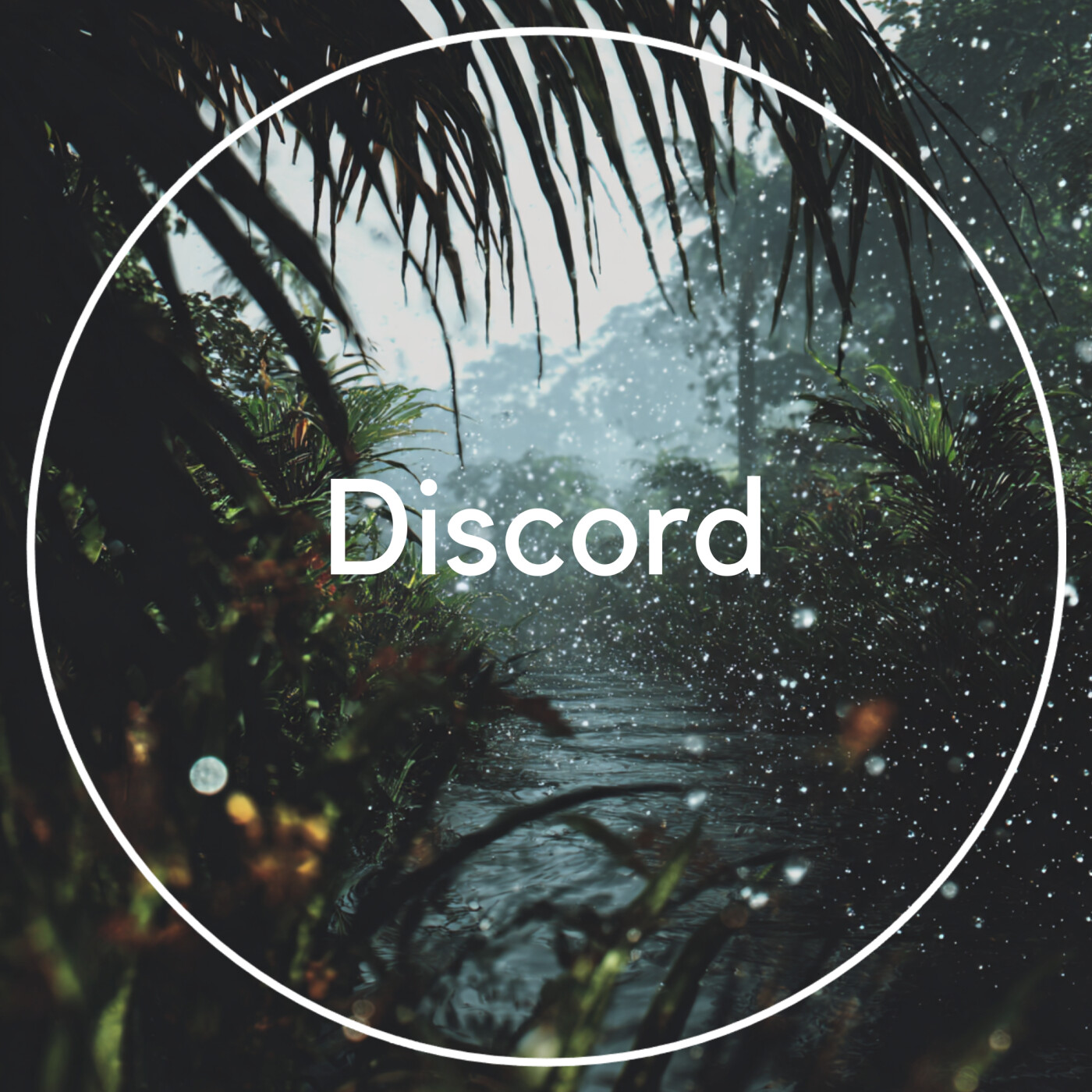 Discord