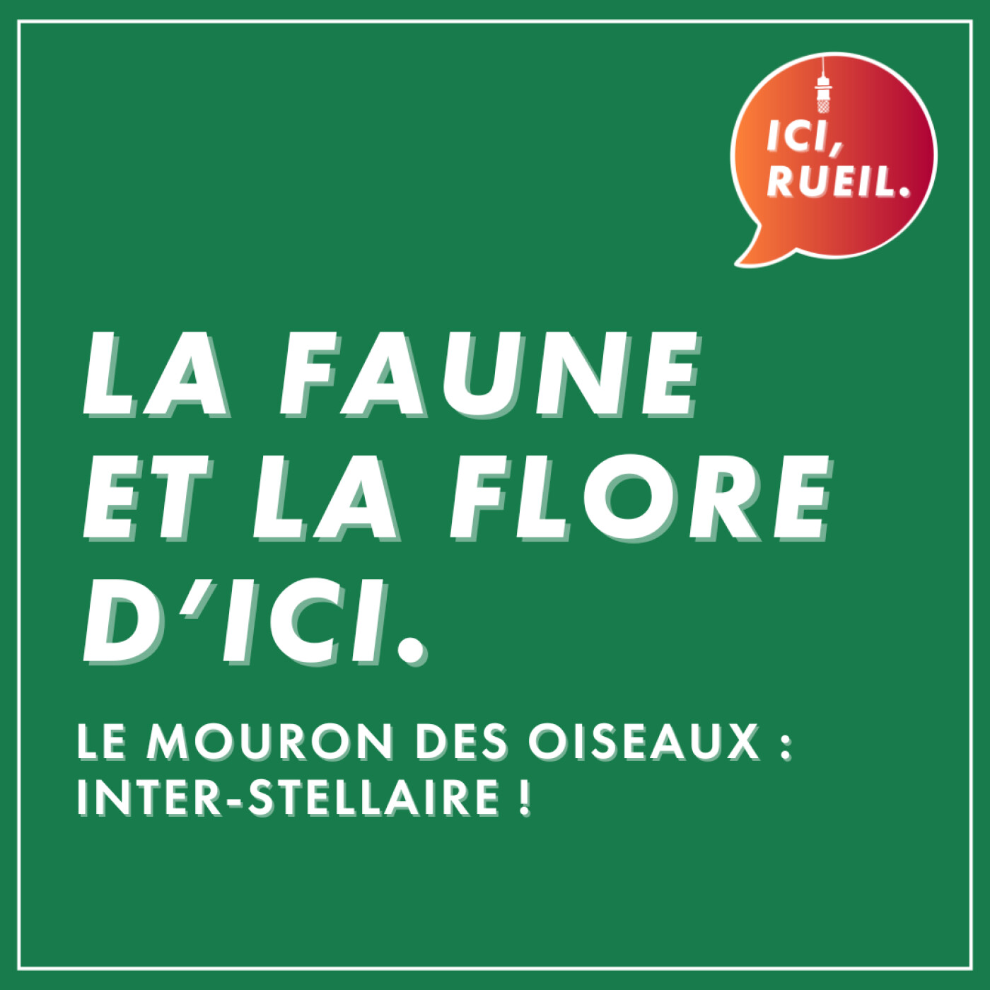La Faune et la Flore d'Ici : Le mouron des oiseaux, inter-stellaire ! episode artwork
