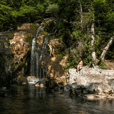 Porter la voix de la nature et faire alliance avec le vivant cover