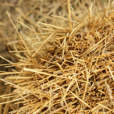 Les odeurs du quotidien #2 cover