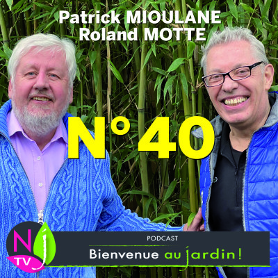 EMISSION #40 du 29 JANVIER 2022 - L'INTEGRALE cover