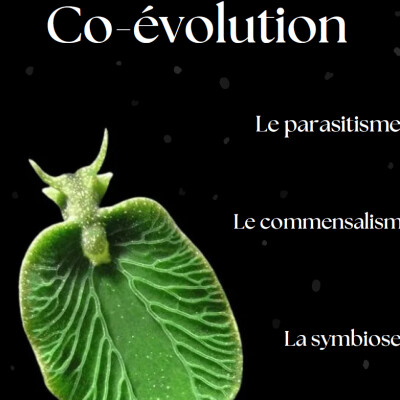 Co-Évolution cover