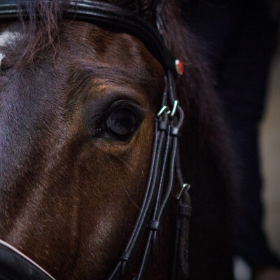 🔮 Vision • Fidji ❤️ cover