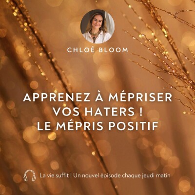 Apprenez à mépriser vos haters ! Le mépris positif cover