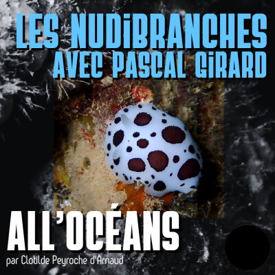 Les Nudibranches avec Pascal Girard cover