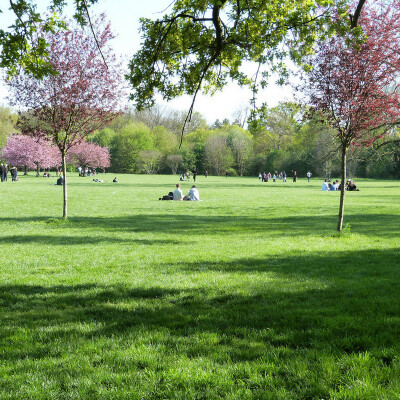 Hauts-de-Seine : Une bouffée d'air en plein cœur de la ville ! cover