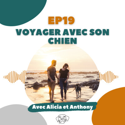 #REDIFF - TWIP : Voyager avec son chien cover