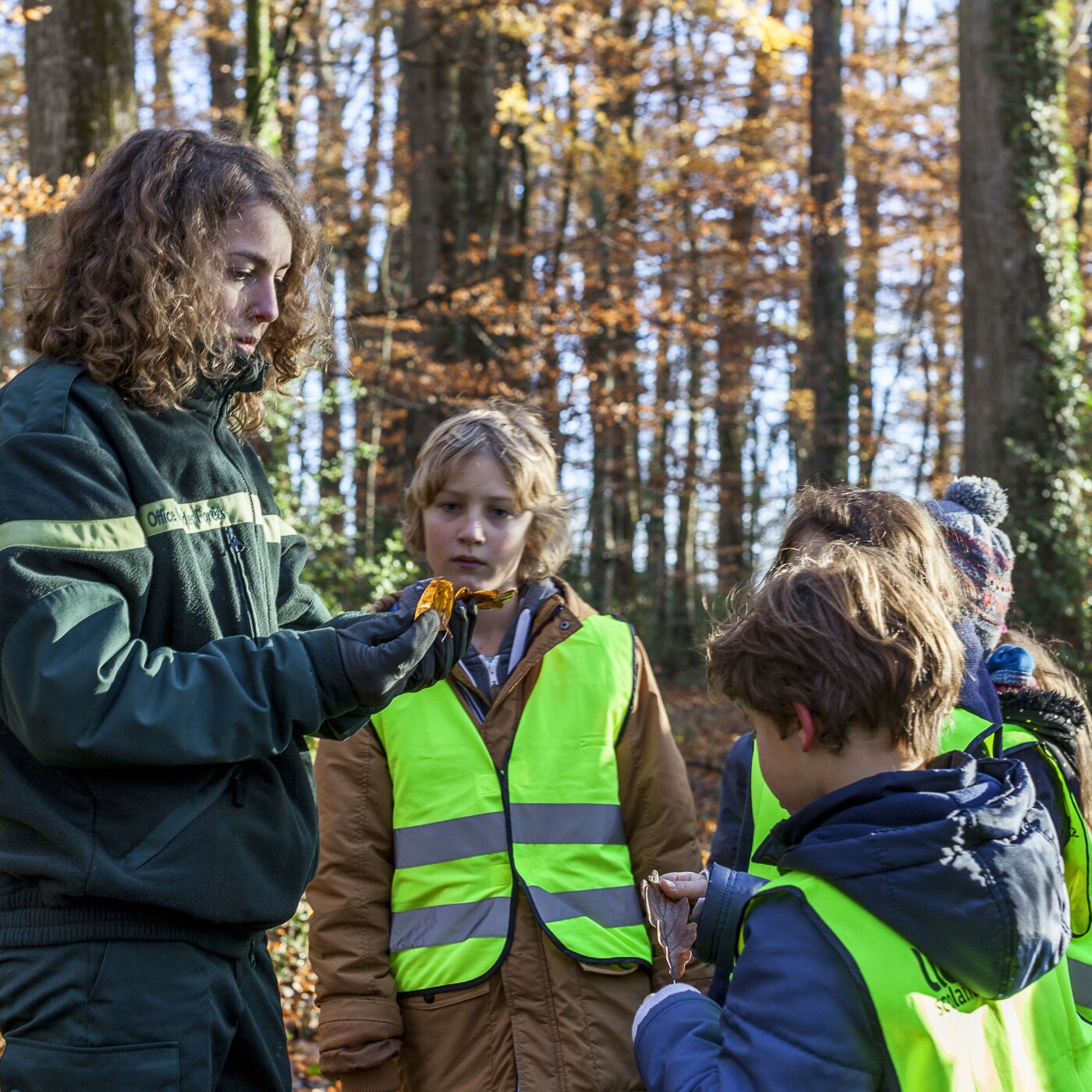 Tous en forêt !