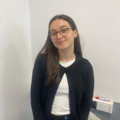 Groupe 1- Sarah Guellet  - Bernard Arnault cover