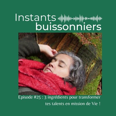 Episode 25 : Transformer tes talents en mission de vie grâce aux 3 C cover