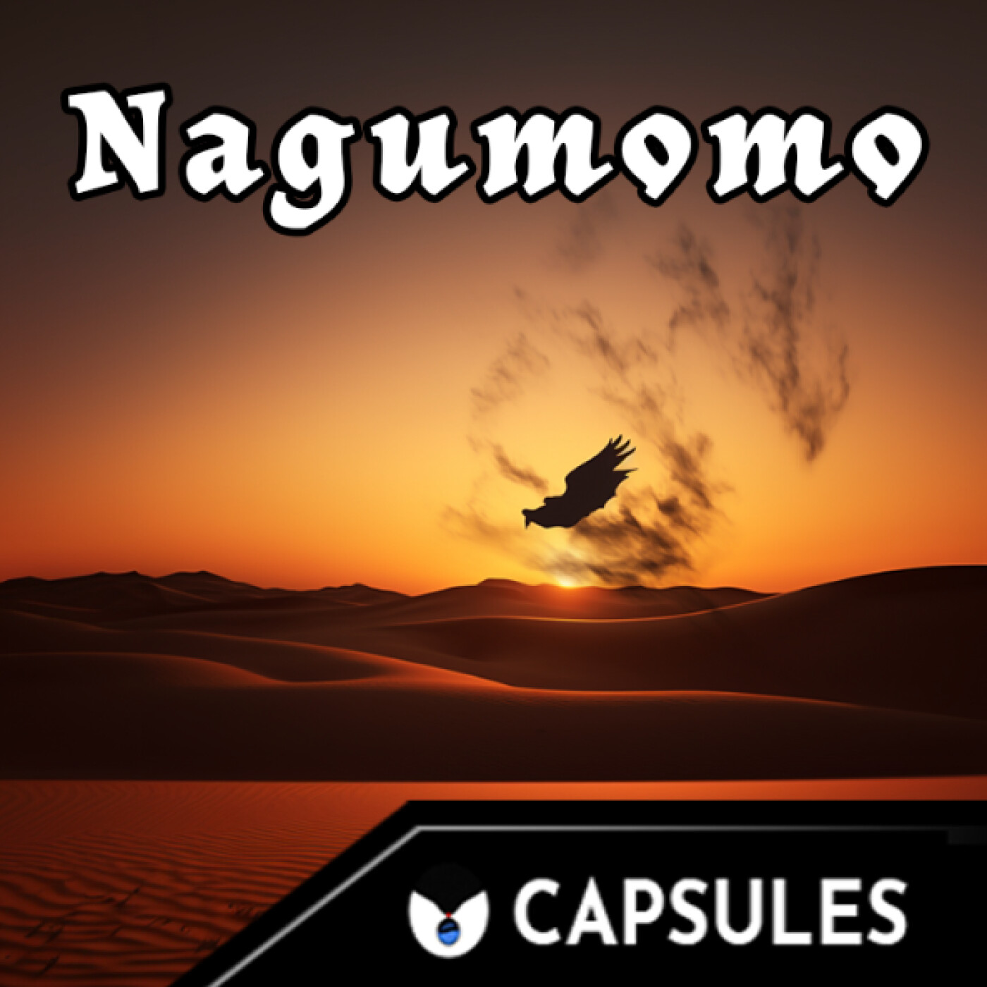 CAPSULES 3.0 : Nagumomo ( reprise de Susheela Raman )
