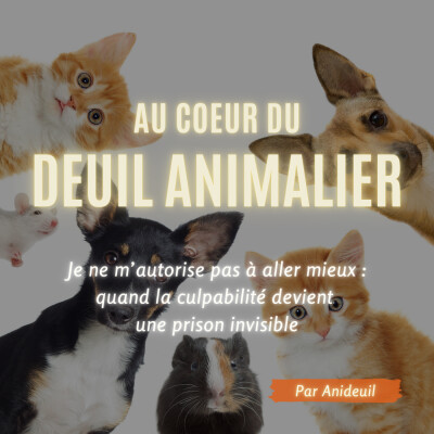 Épisode #18: Je ne m’autorise pas à aller mieux : quand la culpabilité devient une prison invisible cover