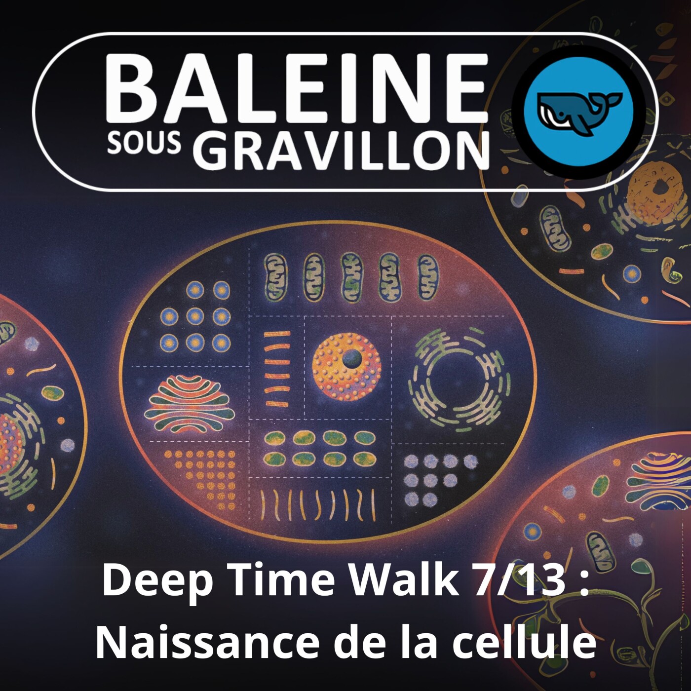 Baleine sous Gravillon
