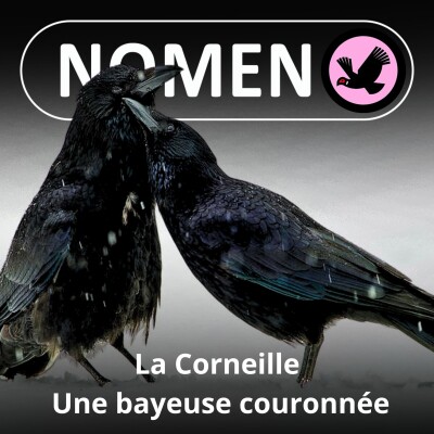 S02E02 La Corneille craille, le Corbeau croasse... et la caravane passe cover