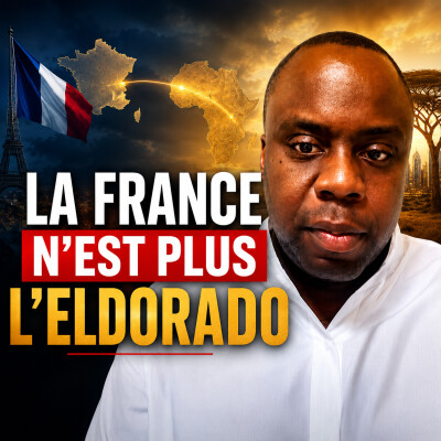 Immigration, Afrique, racisme : la droite a tout raté ? Stéphane Tiki cover