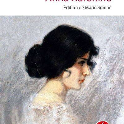 J'ai lu Anna Karénine et je me suis ennuyé ! cover