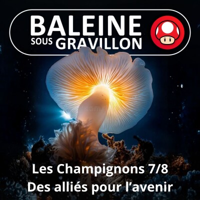 S05E44 Les Champignons 7/8 : Dépolluants, médicaments... des alliés pour demain (Guillaume Lopez) cover