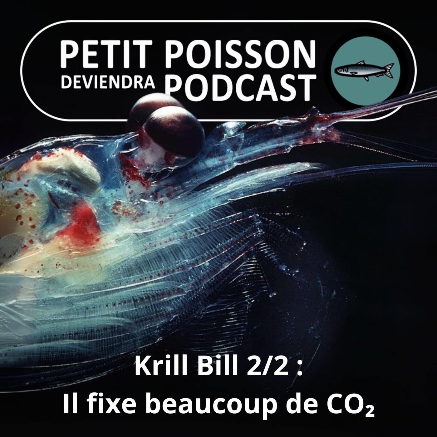 Petit Poisson deviendra Podcast
