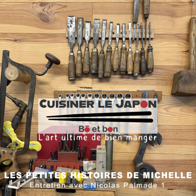 LES PETITES HISTOIRES DE MICHELLE - Entretien avec Nicolas Palmade 1 cover