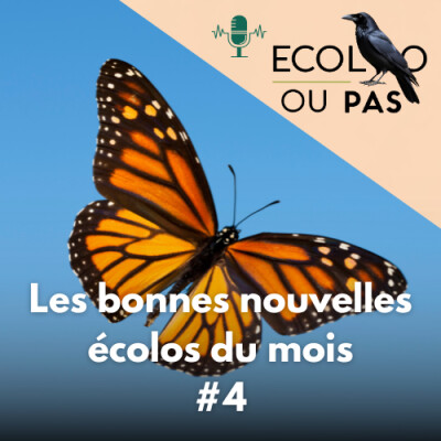 Les bonnes nouvelles écolos du mois #4 cover