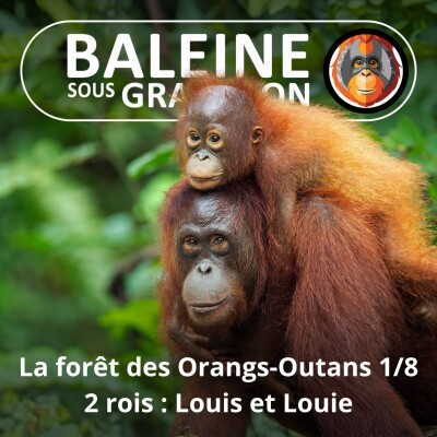 S07E113 Les Orangs-Outans 1/8 : Les deux rois, Louis et Louie (Emmanuelle Grundmann) cover