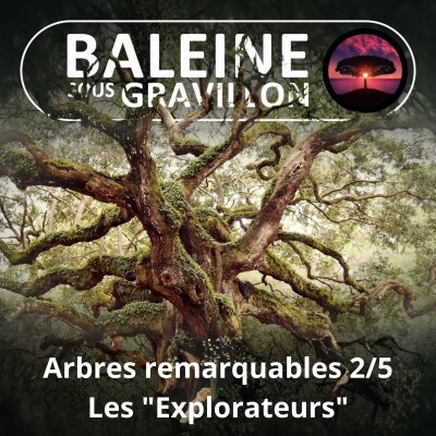 S05E62 Arbres remarquables 2/5 : Les durs à cuire et les "Explorateurs" cover