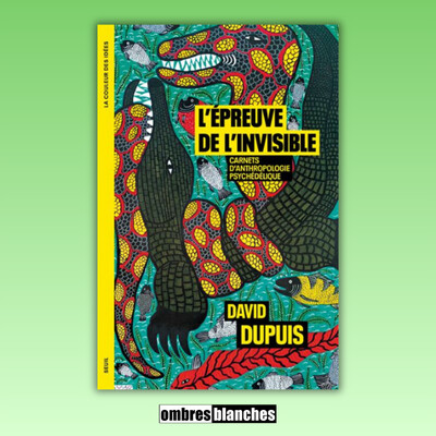 David Dupuis → L’Épreuve de l’invisible : Carnets d’anthropologie psychédélique cover