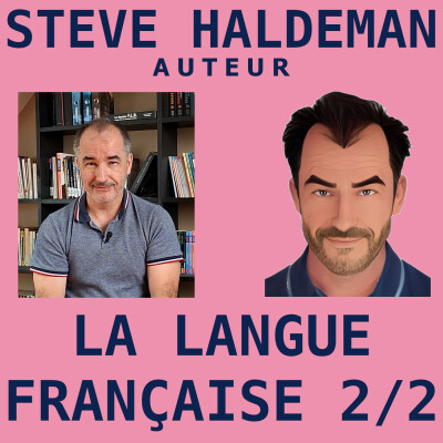 Mon point de vue d'auteur sur la langue française 2/2 - La grammaire française cover