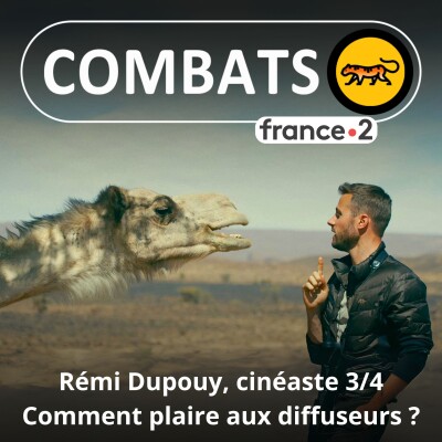 S07E17 Itinéraire d'un cinéaste sauvage 3/4 : Ce qui intéresse (ou pas) les diffuseurs (Rémi Dupouy, Voir l'automne) cover