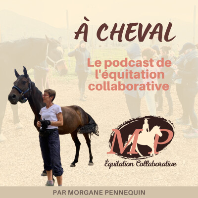 175. [Interview] L'équitation, c'est 2 systèmes nerveux, celui du cheval et de l'humain, qui cherchent à fonctionner ensemble avec Delphine cover