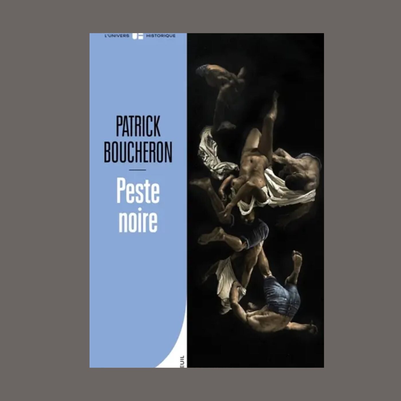 Patrick Boucheron - Peste noire episode artwork
