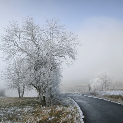 Brouillard givrant : comprendre ce phénomène piégeux ! cover